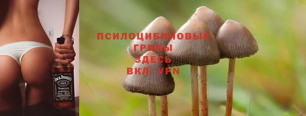 ALPHA PVP Остров