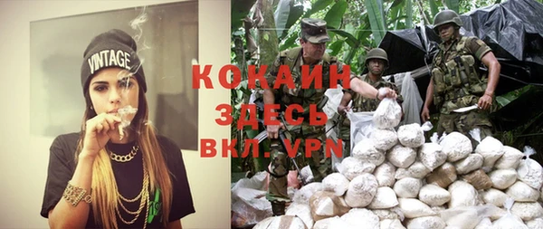 ALPHA PVP Остров