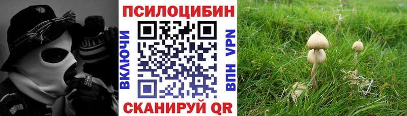 Галлюциногенные грибы Psilocybe  blacksprut ССЫЛКА  Осташков 